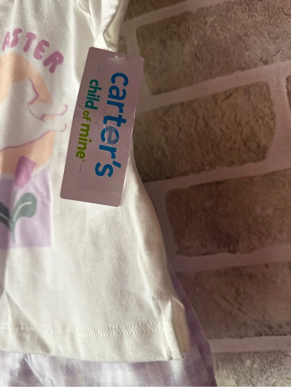 Carter's White Tee with Pastel Bunny Graphic & Lavender Gingham Shorts